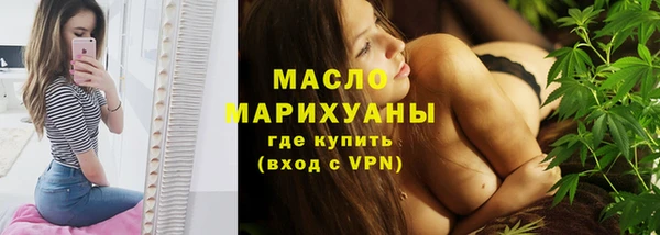 мдпв Михайлов