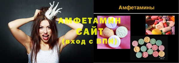 мдпв Михайлов