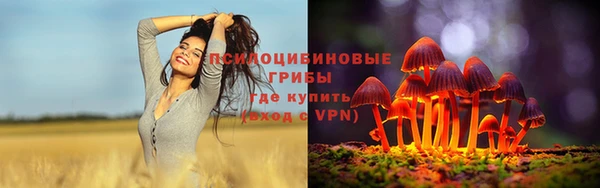 мдпв Михайлов