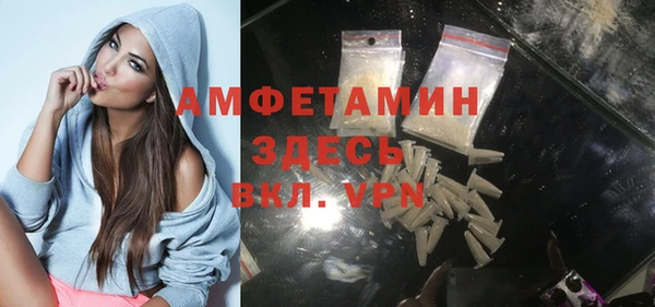 мдпв Михайлов