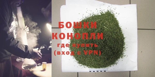 мдпв Михайлов