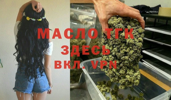 мдпв Михайлов
